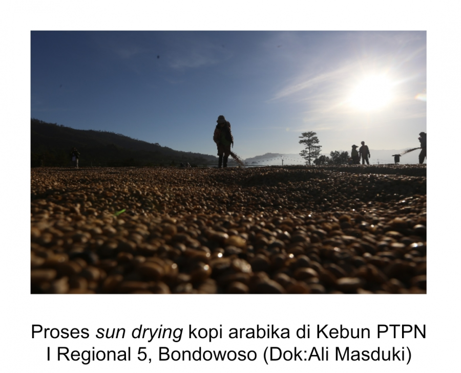Cita Rasa Kopi PTPN I Regional 5 Makin Mempesona