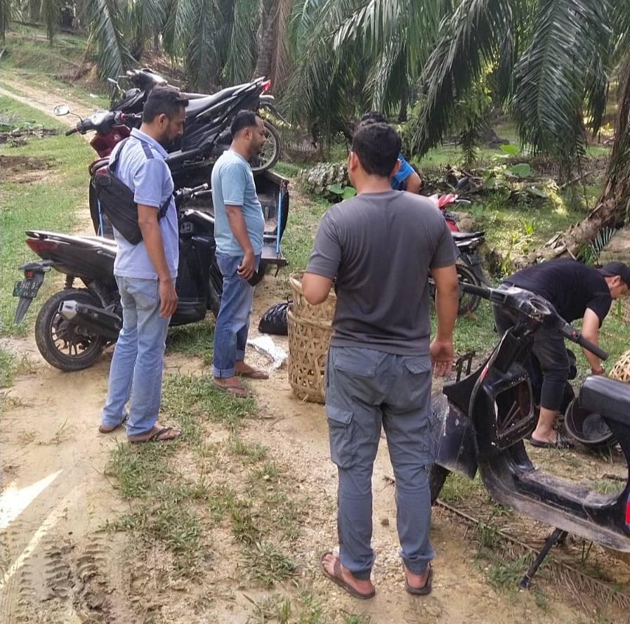 Gerebek Judi Sabung Ayam, Tim Opsnal Sat Reskrim Polres Langsa Amankan Barang Bukti