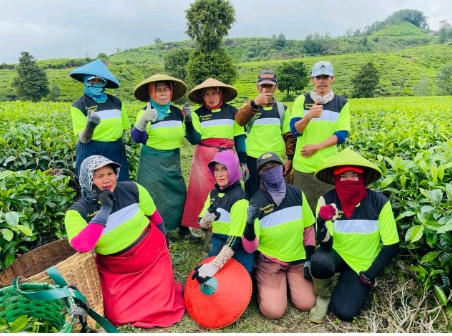 Komitmen Bayar SHT! PTPN I Tetap Erat Bergandeng Tangan dengan Pensiunan