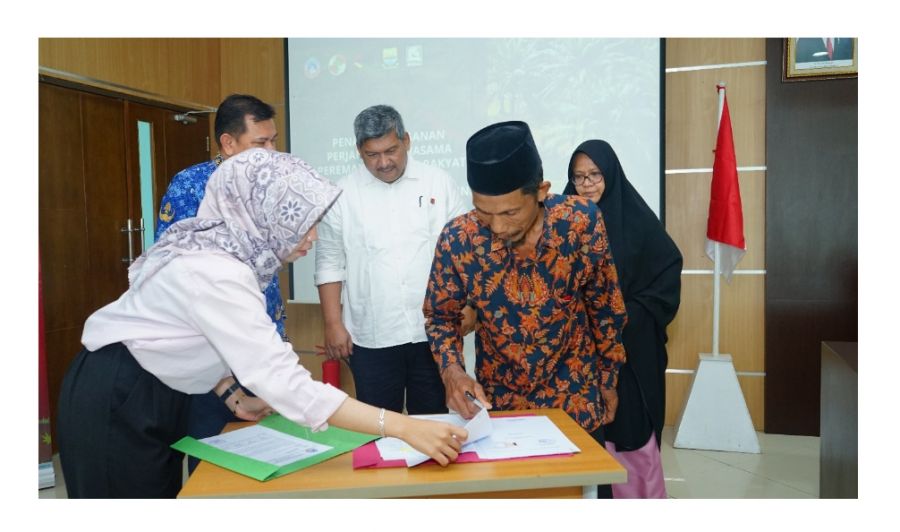 Melalui Program PSR, PTPN VI Lakukan Peremajaan Kebun Sawit Tiga KUD