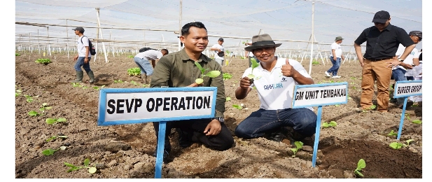 PTPN I Regional 4 Tanam Perdana Tembakau Bawah Naungan Tahun 2024 di Jember